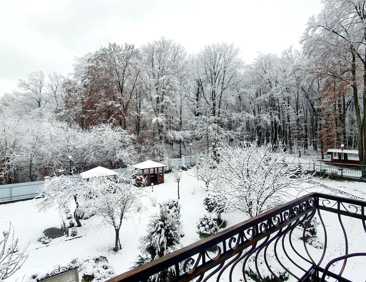 Villa Zenko Briukhovychi Buitenkant foto